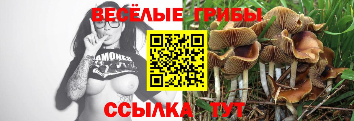Псилоцибиновые грибы Cubensis Нефтекамск